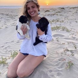 Bernedoodle, Cavapoo, and Goldendoodle Puppies from Doodle Amore