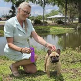 French Bulldog Puppies from Reds Frenchies