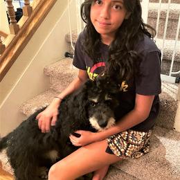 Bernedoodle Puppies from Beary Sweet Doodles