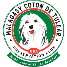 Cotons de Tulear from Columbia Gorge Cotons