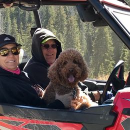 Goldendoodles from Timpanogos Doodles