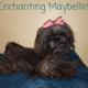 Maybelline