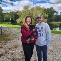 German Shepherd Puppies from Von Hoene Heritage Shepherds