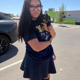 Assigned to Michelle Armenta - Black and tan male Dachshund puppy in Horizon City, Texas from Willipaws