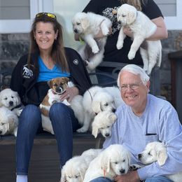 Golden Retriever and Jack Russell Terrier Puppies from Shelby Burleson's Golden Retrievers and Jack Russell Terriers