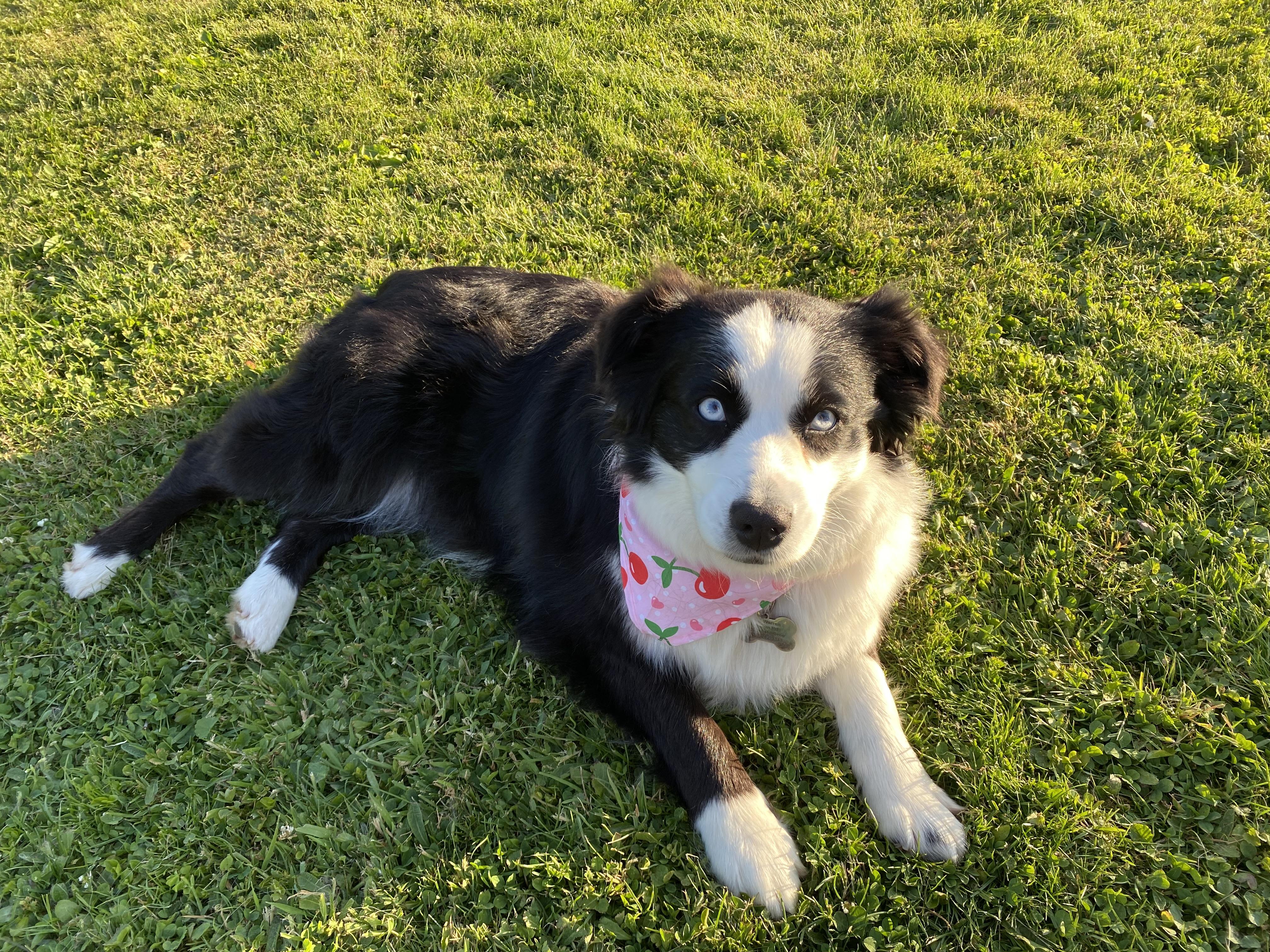 Zoey