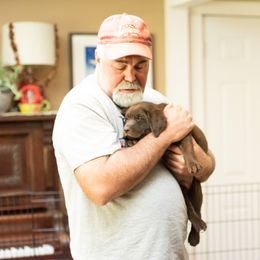 Labrador Retriever Puppies from Bear Bones Labradors