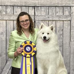 Ahsoka - Samoyed
