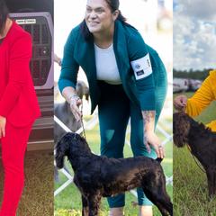 Boykin Spaniels and English Springer Spaniels from 31 Pines Kennels