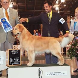 Cooper - Golden Retriever