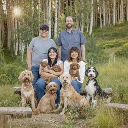 Goldendoodle Puppies from Sunnydoodle Utah