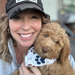 Double Doodle and Goldendoodle Puppies from Red White and Doodle
