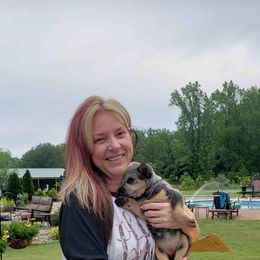 Australian Cattle Dog and Labrador Retriever Puppies from Trinity C Australian Cattle Dogs and Silver Labradors