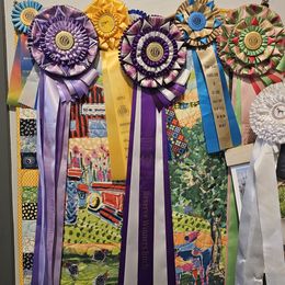 Weimaraner Puppies from So-IN Weimaraner's