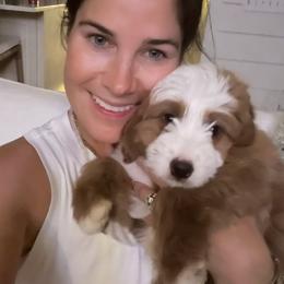 Bernedoodle Puppies from Palmetto Bernedoodles Boutique