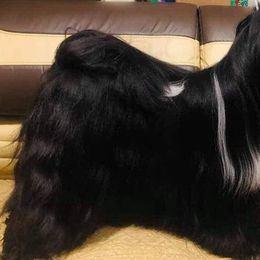 Raven - Tibetan Terrier