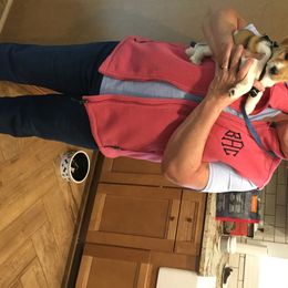 Russell Terrier Puppies from Woodside