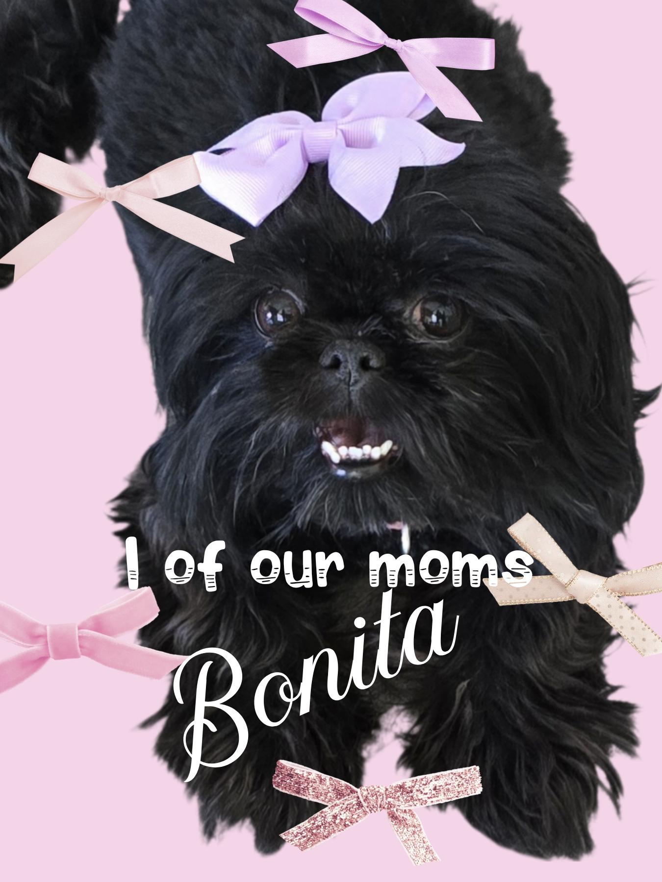 Bonita