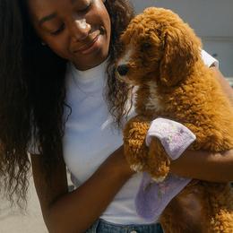 Goldendoodle Puppies from Kid's Best Doodle