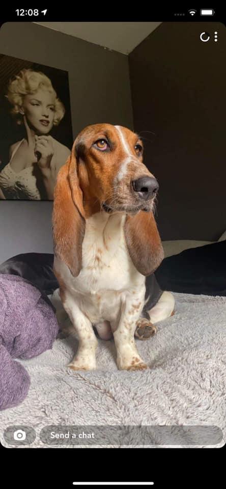 Rosie