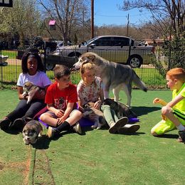 Alaskan Malamute Puppies from Strong Water Malamutes