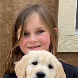 Golden Retriever Puppies from Risa’s Goldens