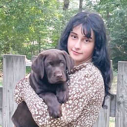Labrador Retrievers from Little Helper Kennels