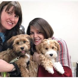 French Bulldog and Havanese Puppies from RiverHill Havanese