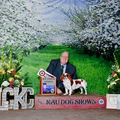 Nala - English Toy Spaniel