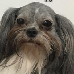 Mi-Kis from Estrellita Mi-Ki's