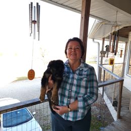 German Shepherd Puppies from Von Hoene Heritage Shepherds