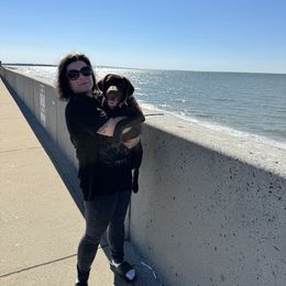 Labrador Retriever Puppies from Rose Gold Retrievers