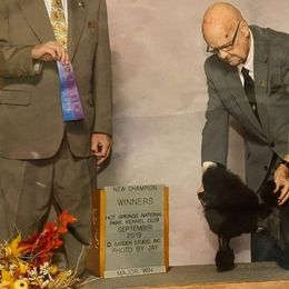 Giddy AKC Champion pic - Poodle