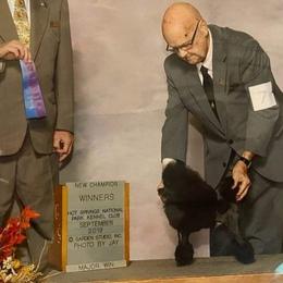 Giddy AKC Champion pic - Poodle