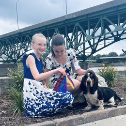 Basset Hound and Golden Retriever All Grown Up from Storm Chasers- Golden Retrievers & Basset Hounds