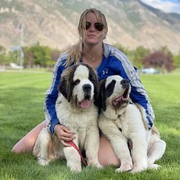 Saint Bernard Puppies from Southern Giants