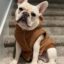 French Bulldogs from Brittany Kumpf's French Bulldog's