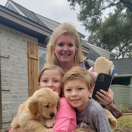 Golden Retriever Puppies from Sims Golden Retrievers