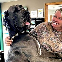 Axyl - He is a direct import from Hungary - Great Dane