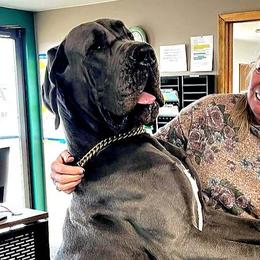 Axyl - He is a direct import from Hungary - Great Dane