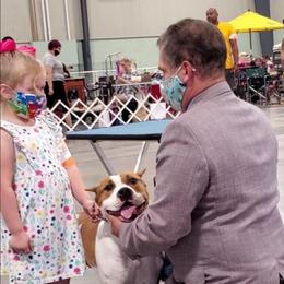 American Staffordshire Terrier All Grown Up from Homegrown Amstaffs