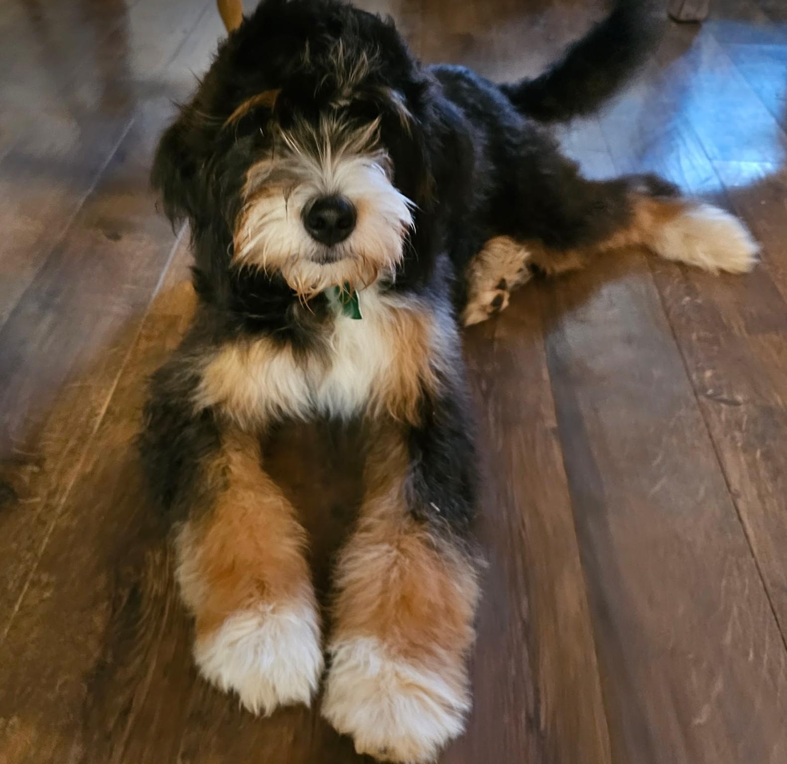Kaia