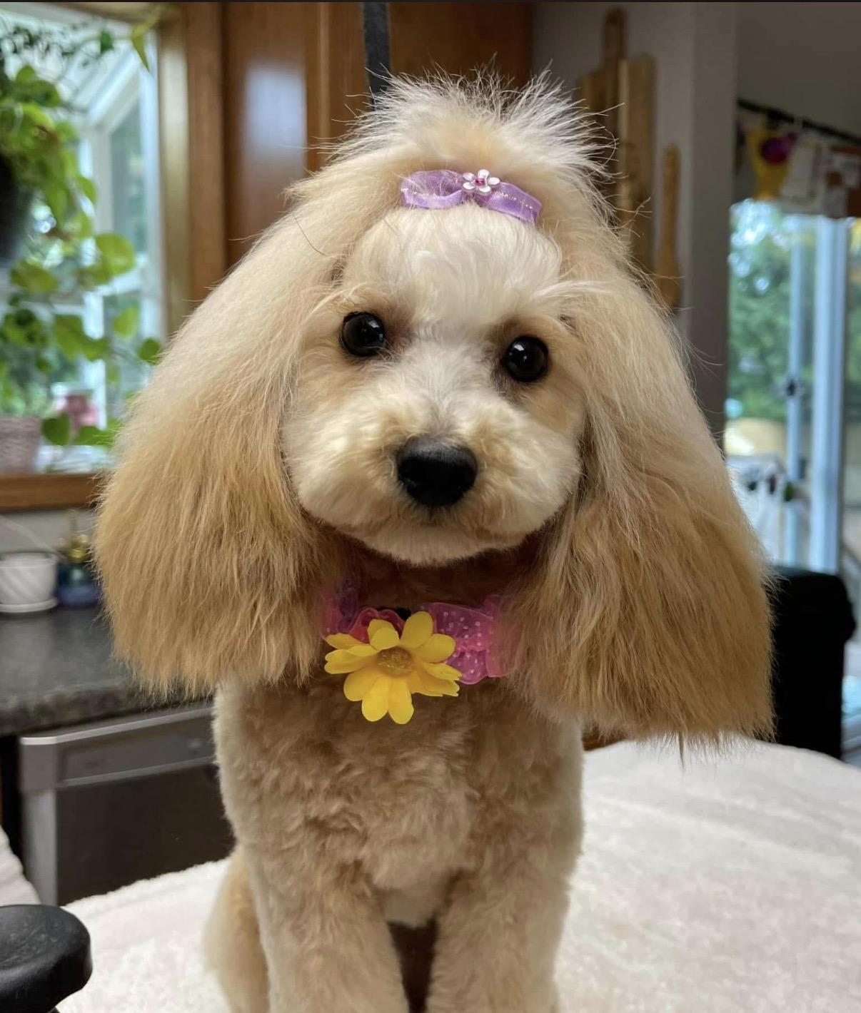 Zoey
