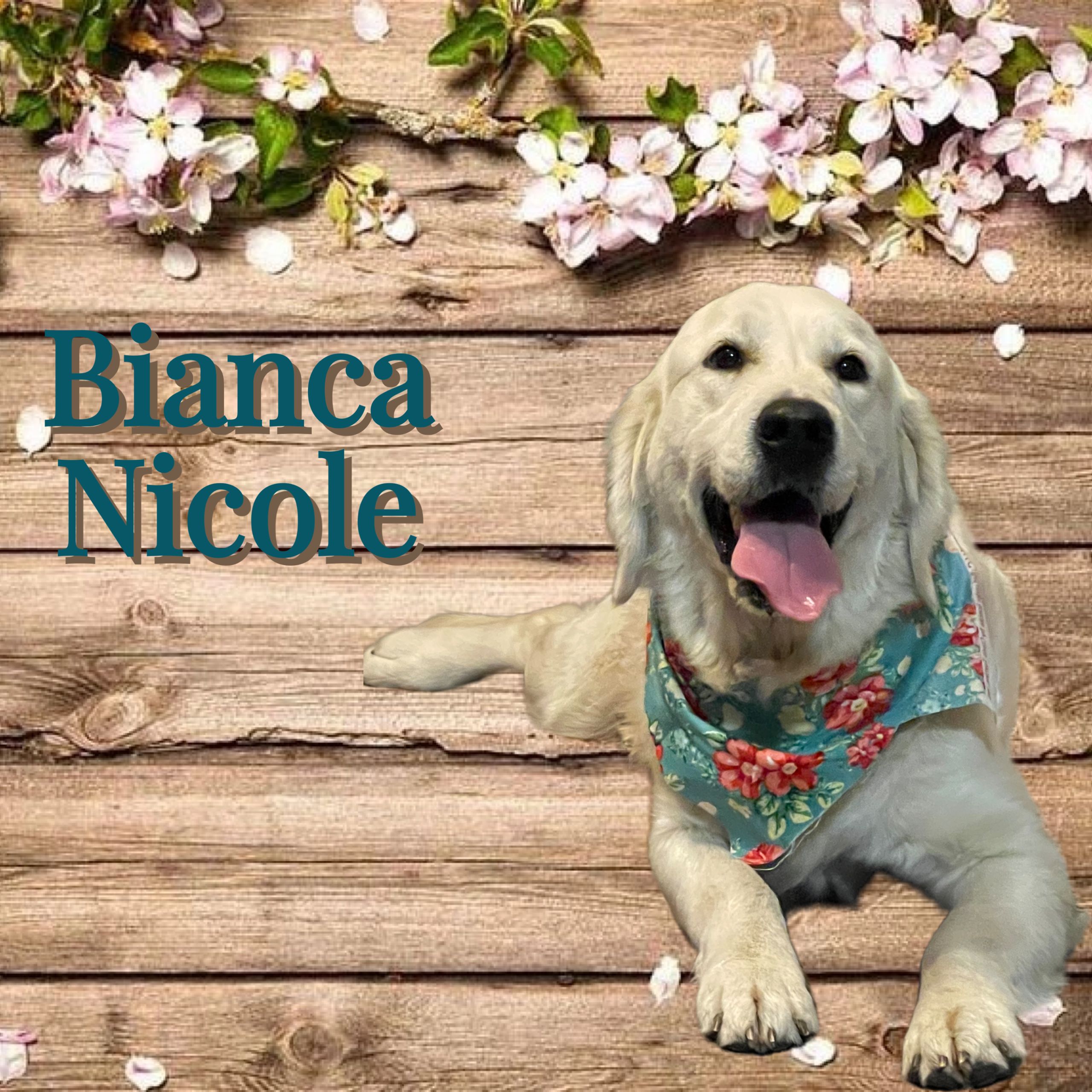 Bianca