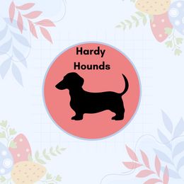 Dachshund puppies from Hardy Miniature Dachshunds