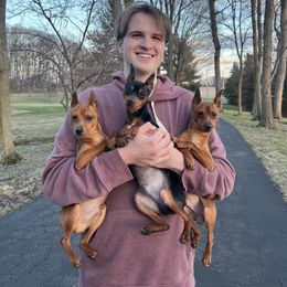 Miniature Pinscher Puppies from Valjalu’s Minianture Pinschers