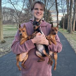 Miniature Pinscher Puppies from Valjalu’s Minianture Pinschers