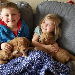 Goldendoodle Puppies from Doodle Devotion