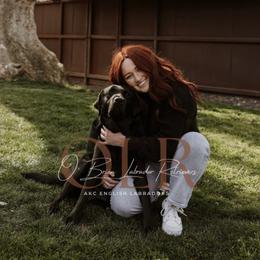 Labrador Retriever Puppies from O’Brien Labrador Retrievers