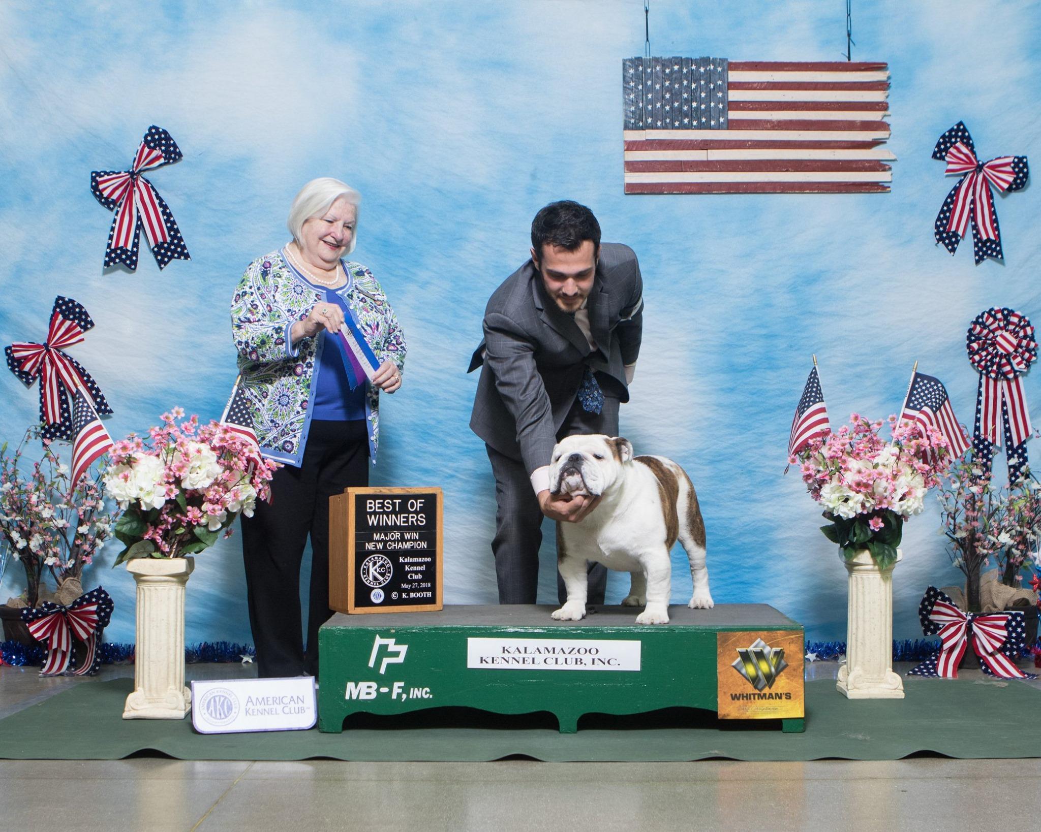Exact Classic Bulldogs in Indiana Bulldog puppies Good Dog